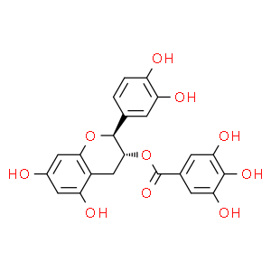 兒茶素沒(méi)食子酸酯