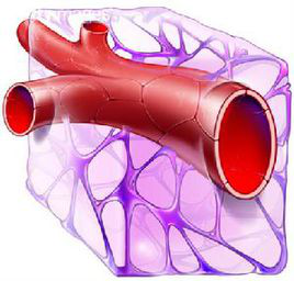 1532045933765106CrUW.png 圖片23.png