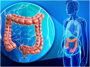 1532048628820808byAJ.png 圖片59.png