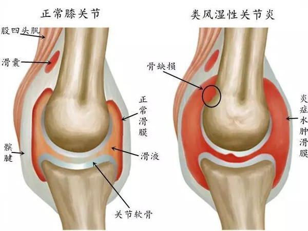 1532052047310964RyDJ.png 圖片206.png