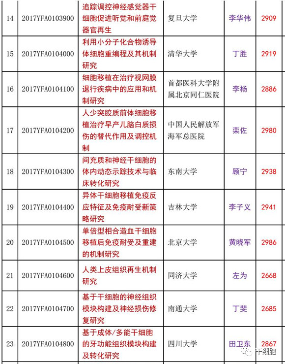 1558490296614854RL5K.jpg 7.jpg