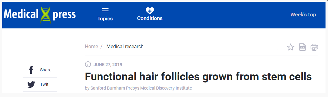 1562895346820336Fg0S.png 20190704064030693.png