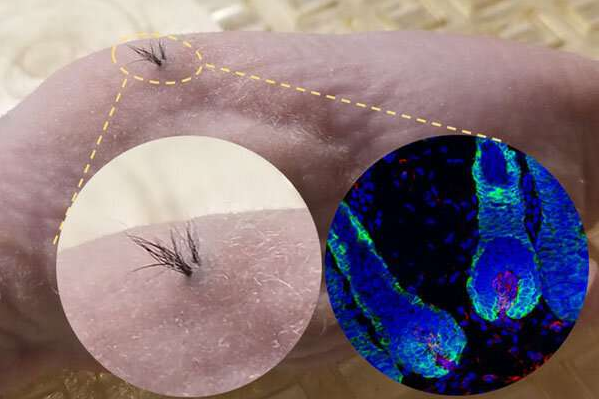 1562895362432007ZEuj.png 微信截圖_20190712091620.png