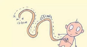 1563328022776315dOTo.png 圖片7.png