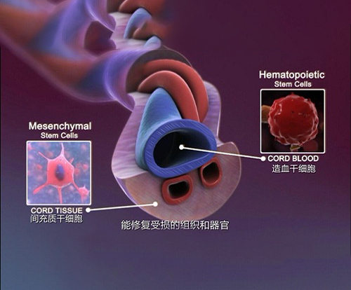 1563759571189812HU5w.png 圖片8.png